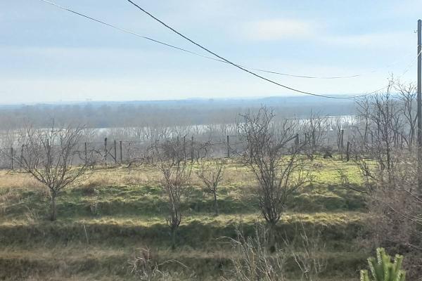 prodaja, plac,
belegis-opstina-stara-pazova, 941089, belegis