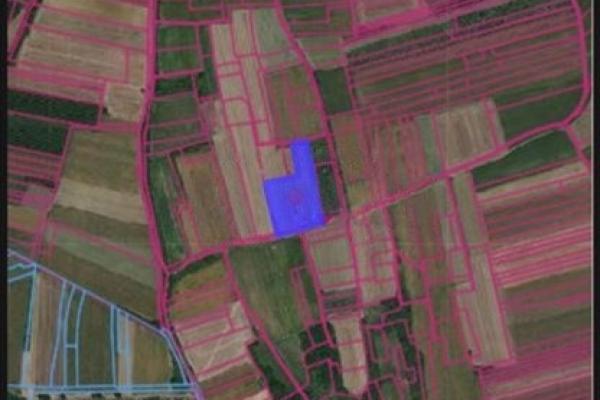 prodaja, plac,
vrdnik-opstina-irig, 943049, pavla-vuisica