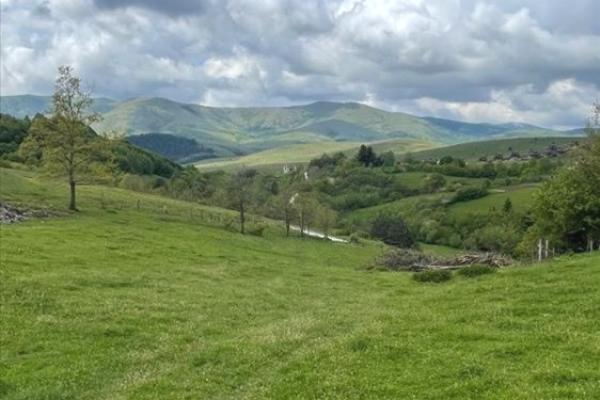 prodaja, plac,
zlatibor, 943080, vidoja-misovica
