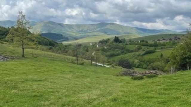Plac, Prodaja, m2, Vidoja Misovica