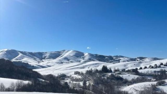 Plac, Prodaja, m2, Vidoja Misovica