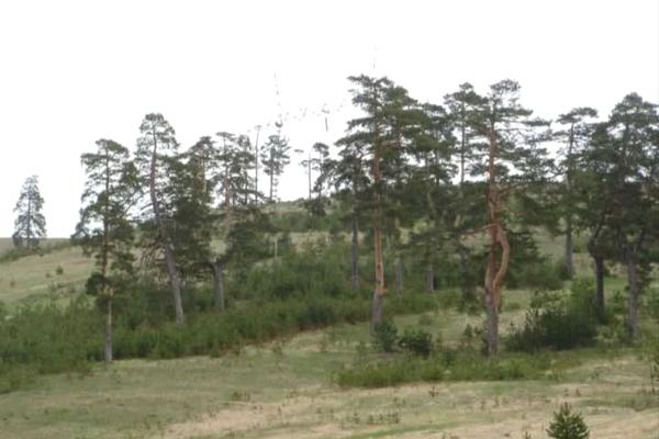 prodaja, plac,
cigota-okolina-zlatibor, 943617, zaselak-popov-kolac