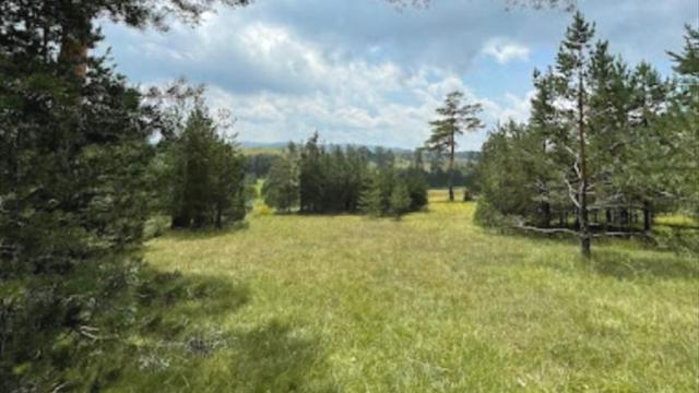 Plac, Prodaja, m2, Čigota, Planina, Zaselak Popov kolac