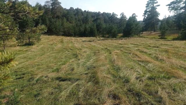 Plac, Prodaja, m2, Čigota, Planina, Zaselak Popov kolac
