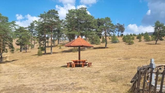 Plac, Prodaja, m2, Čigota, Planina, Zaselak Popov kolac