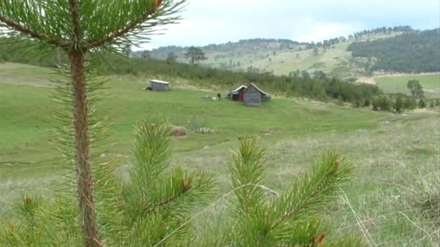 Plac, Prodaja, m2, Čigota, Planina, Zaselak Popov kolac