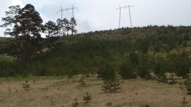 Plac, Prodaja, m2, Čigota, Planina, Zaselak Popov kolac