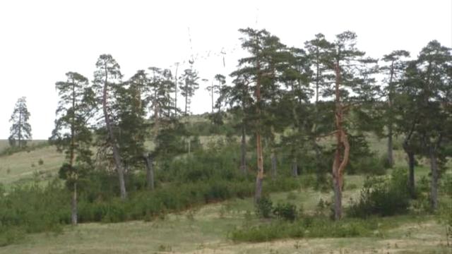 Plac, Prodaja, m2, Čigota, Planina, Cigota