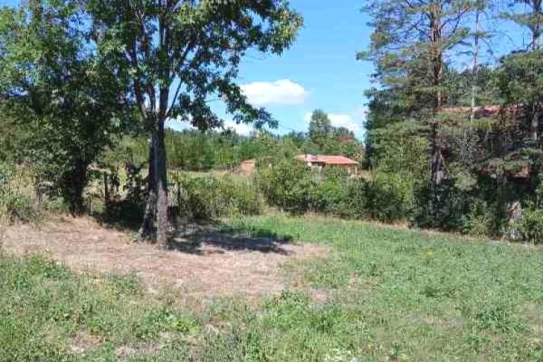 prodaja, plac,
ducina-sopot-beograd, 945212, danila-bate-stojkovica