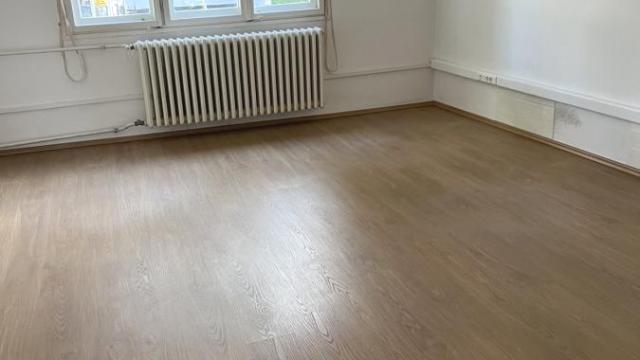Kuća, Izdavanje, 350m2, Banovo brdo, Čukarica, Žarkovačka