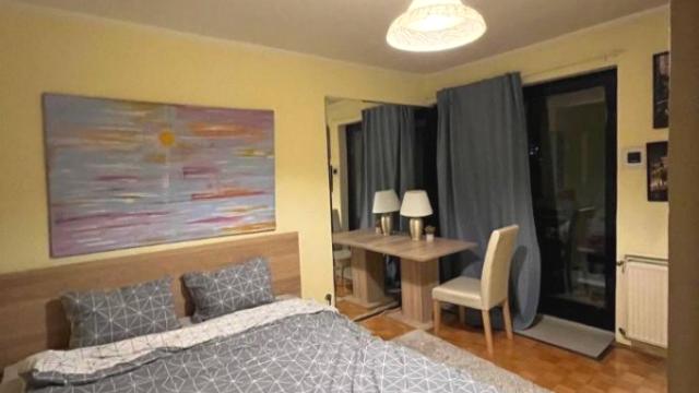 Stan, Dvosoban, Izdavanje, 45m2, Dorćol, Stari grad, Gundulicev venac