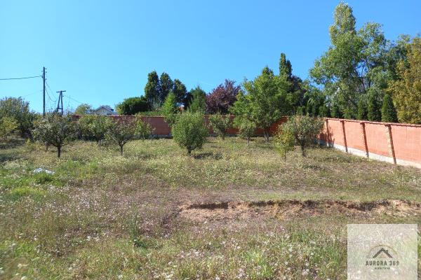 prodaja, plac,
paragovo-petrovaradin-novi-sad, 946452, plac