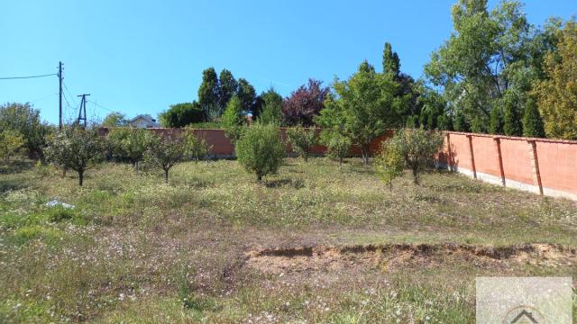 Plac, Prodaja, m2, Paragovo, Petrovaradin, Novi Sad