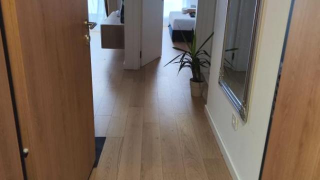 Stan, Dvosoban, Izdavanje, 45m2, Tošin bunar, Novi Beograd, Tošin bunar