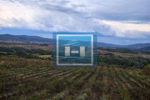 prodaja, plac,
bosnjane-opstina-paracin, 947089, plac