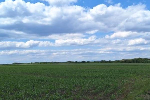 prodaja, plac,
simanovci-opstina-pecinci, 947084, potes-legdar