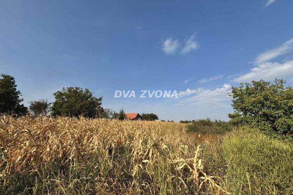 prodaja, plac,
cortanovci-opstina-indjija, 947696, plac