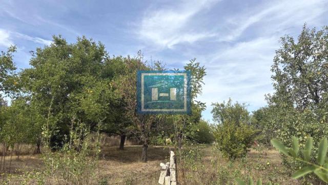 Plac, Prodaja, m2, Deonica, Okolno mesto, Jagodina