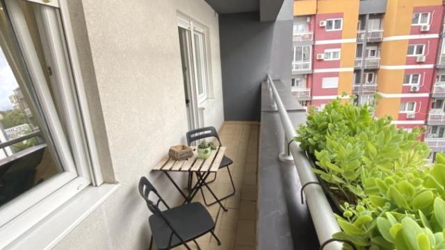 Stan, Jednoiposoban, Izdavanje, 45m2, Karaburma, Palilula, Vojvode Micka Krstića