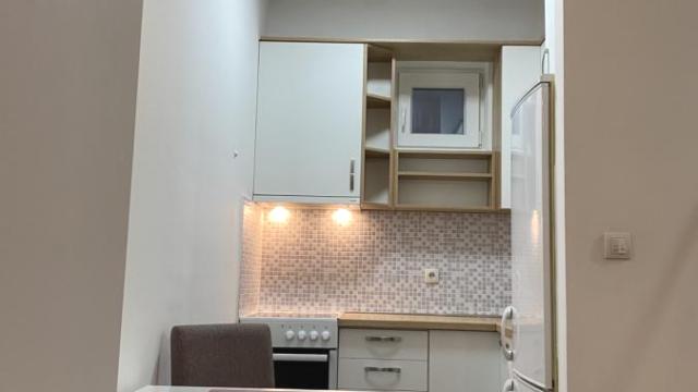 Stan, Jednoiposoban, Izdavanje, 45m2, Karaburma, Palilula, Vojvode Micka Krstića
