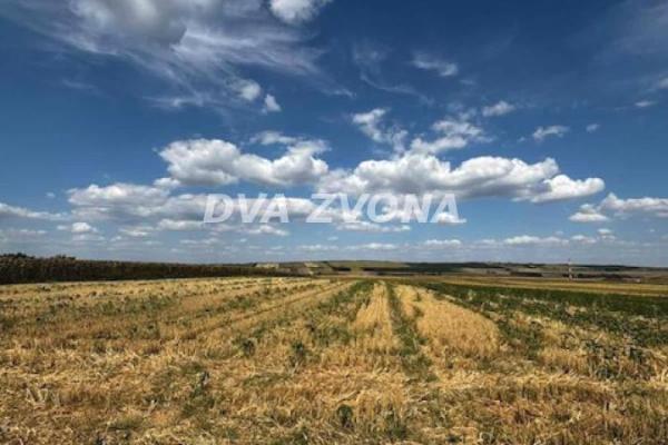 prodaja, plac,
cortanovci-opstina-indjija, 948305, plac