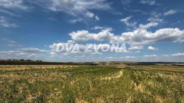 Plac, Prodaja, m2, Čortanovci, Okolno mesto, Indjija