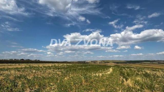 Plac, Prodaja, m2, Čortanovci, Okolno mesto, Indjija