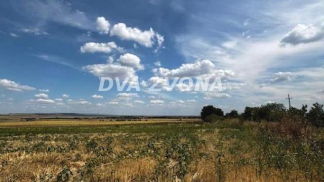 Plac, Prodaja, m2, Čortanovci, Okolno mesto, Indjija