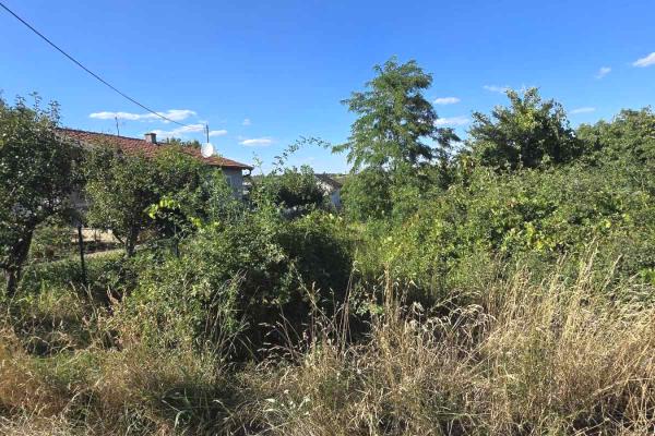 prodaja, plac,
cortanovci-opstina-indjija, 948683, beli-breg