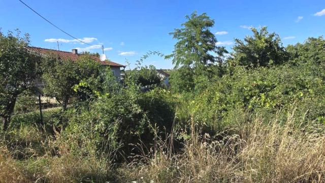Plac, Prodaja, m2, Čortanovci, Okolno mesto, Beli Breg