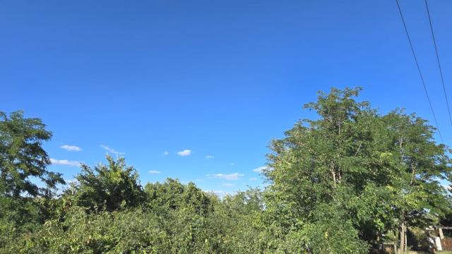 Plac, Prodaja, m2, Čortanovci, Okolno mesto, Beli Breg