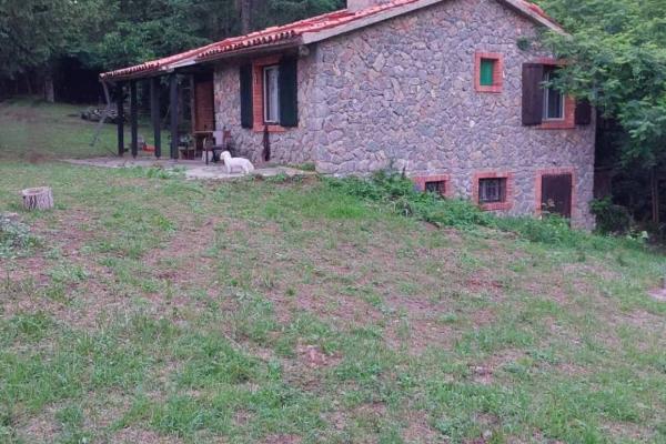 prodaja, kuca,
osecina, 949399, cetvorosoban-radjevske-stave