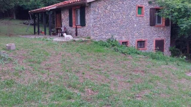 Kuća, četvorosoban, Prodaja, 110m2, Radjevske Stave