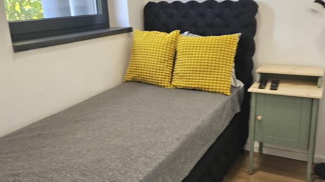 Stan, Jednoiposoban, Prodaja, 33m2, Dorćol, Stari grad, Cara Dusana
