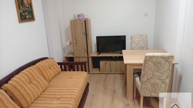 Stan, Jednoiposoban, Izdavanje, 32m2, Grbavica, Novi Sad, Novi Sad