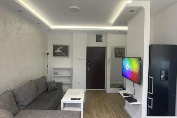 izdavanje, stanova,
dorcol-stari-grad-beograd, 951273, dvosoban-dubrovacka