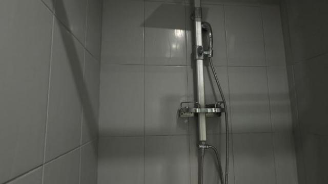 Stan, Dvosoban, Izdavanje, 50m2, Dorćol, Stari grad, Žorža Klemensoa