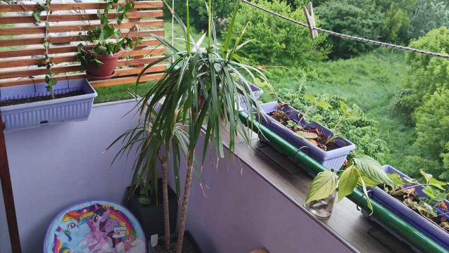 Stan, Jednoiposoban, Prodaja, 45m2, Blok 62, Novi Beograd, Dusana Vukasovica