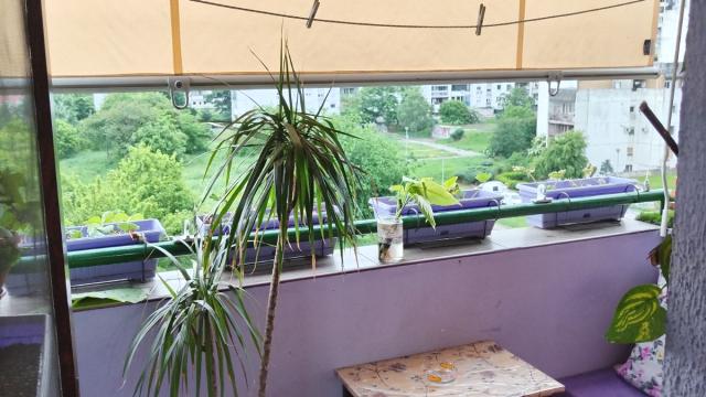Stan, Jednoiposoban, Prodaja, 45m2, Blok 62, Novi Beograd, Dusana Vukasovica