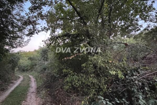 prodaja, plac,
cortanovci-opstina-indjija, 953095, plac