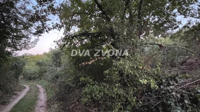 Plac, Prodaja, m2, Čortanovci, Okolno mesto, Indjija