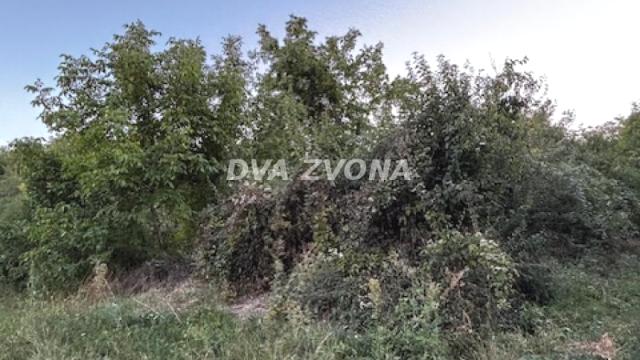 Plac, Prodaja, m2, Čortanovci, Okolno mesto, Indjija