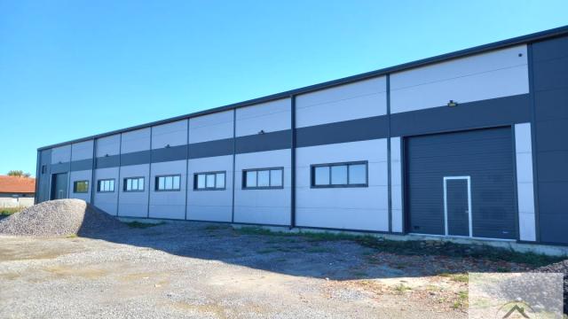 Poslovni prostor, Izdavanje, 1000m2, Rumenka, Novi Sad, Novi Sad