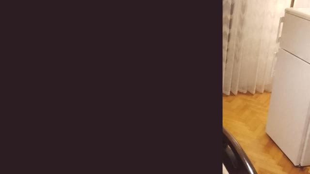 Stan, Jednoiposoban, Izdavanje, 42m2, Dedinje, Savski venac, Drajzerova