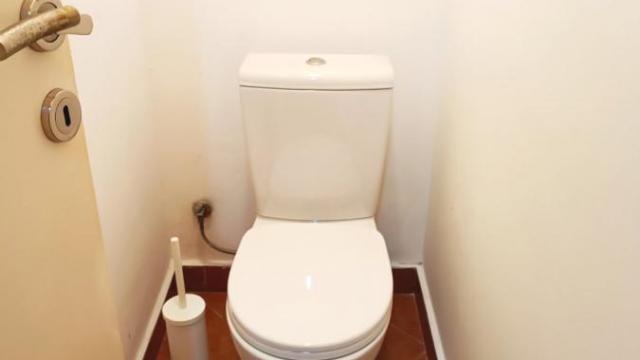 Stan, Trosoban, Izdavanje, 68m2, Blok 21, Novi Beograd, Bulevar Mihajla Pupina