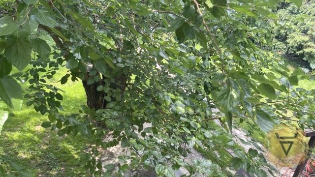 Kuća, četvorosoban, Izdavanje, 160m2, Dedinje, Savski venac, Koste Racina