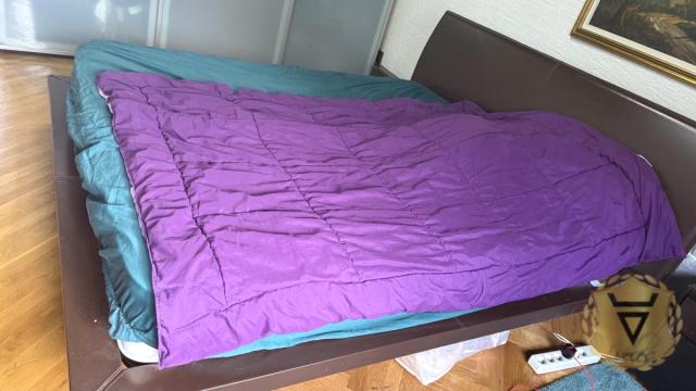 Kuća, četvorosoban, Izdavanje, 160m2, Dedinje, Savski venac, Koste Racina