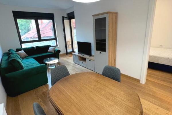 izdavanje, stanova,
crveni-krst-vracar-beograd, 954283, dvosoban-branka-krsmanovica