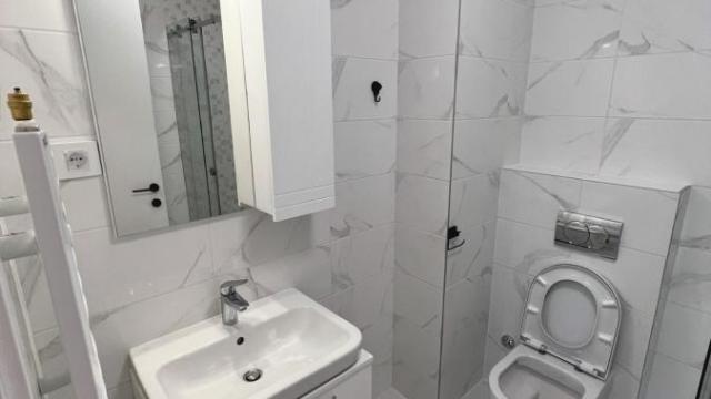 Stan, Dvosoban, Izdavanje, 50m2, Crveni krst, Vračar, Branka Krsmanovica