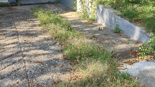 Poslovni prostor, Jednoiposoban, Prodaja, 31m2, Zemun polje, Zemun, Pere Kosorica